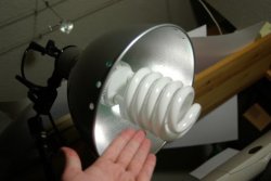 Photo of a 85W daylight lamp